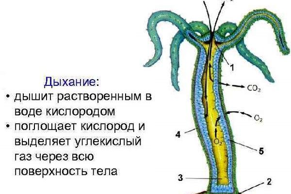 Кракен тор kraken014 com